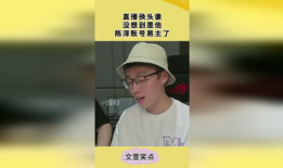 陈泽吐槽直播刷91,揭秘“刷91”背后的真相与反思